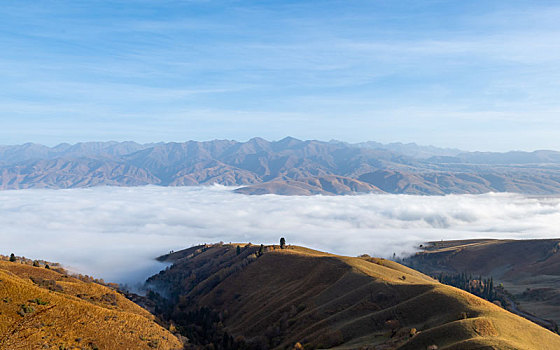 风景