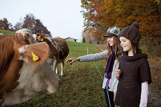 两个女孩,草场,母牛