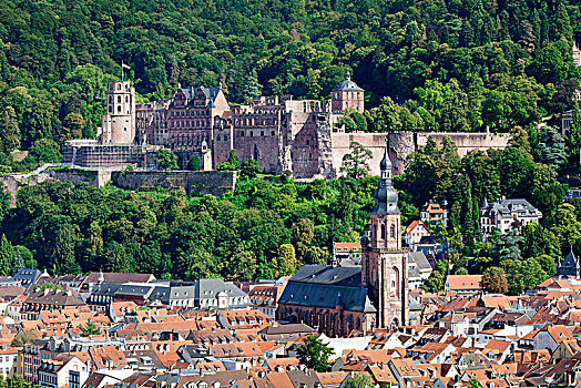 历史,中心,教堂,神圣,城堡,海德堡,巴登符腾堡,德国,欧洲
