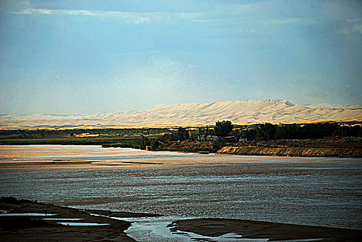 黄河防护林和远处的沙山