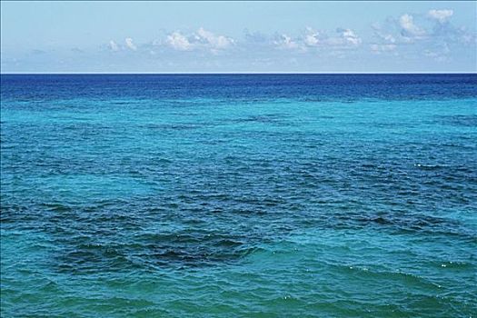 青绿色,水,浩大,海洋,百慕大