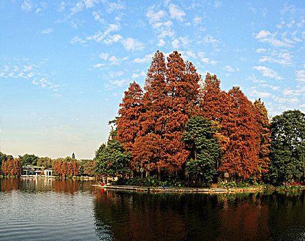 荔湾湖公园