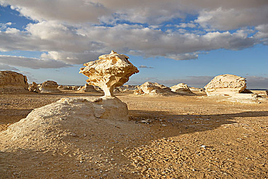 石灰石,石头,排列,白沙漠,费拉菲拉,绿洲,利比亚沙漠,西部,撒哈拉沙漠,埃及,非洲