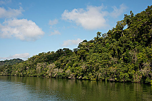 危地马拉,靠近,城镇,利文斯顿,河,景色,丛林,风景,大幅,尺寸