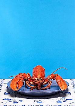 龙虾,坐,蓝色,盘子,上面,白色,图案,桌子,布,鲜明,墙壁,背景