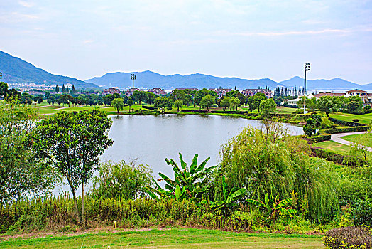 水池,树林,草地