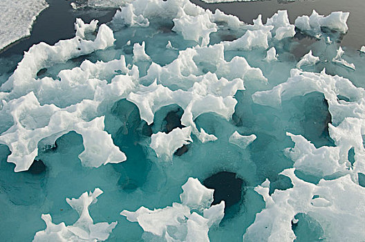 格陵兰,海洋,挪威,斯匹次卑尔根岛,特写,融化,蓝色,结冰,冰山,夏天