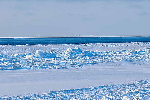 楚科奇海,岸边,手推车,阿拉斯加,风景,脊,海冰,远景