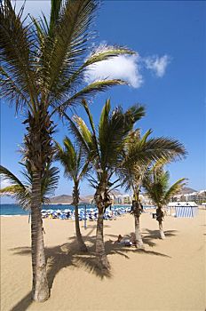 海滩,大加那利岛,加纳利群岛,西班牙