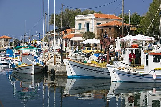 渔港,莱斯博斯岛,岛屿,希腊