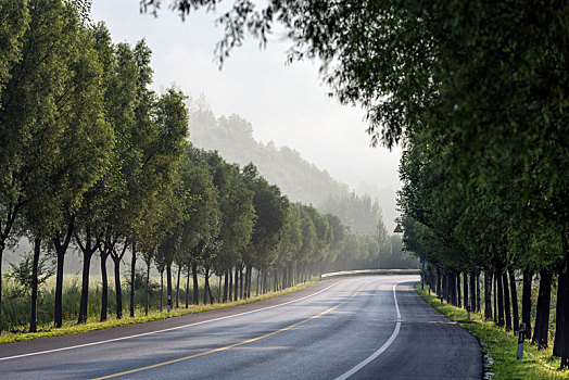 乡间公路