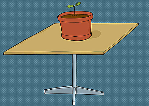 盆栽植物,桌子