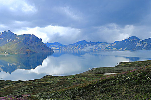 长白山高山杜鹃