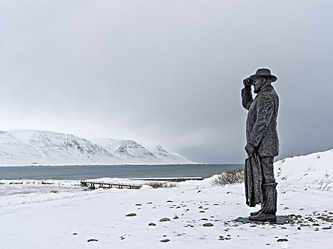 雕塑,看,峡湾,冬天,大幅,尺寸
