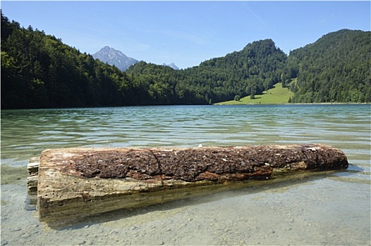 高山,湖