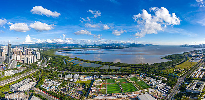 深圳竹子林上空航拍深圳湾,深南大道,南山,福田等城市天际线全景风光