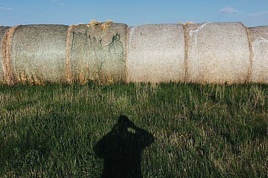 排,干草包,影子,前景,靠近,萨斯喀彻温,加拿大
