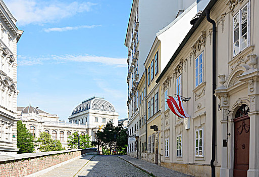 维也纳,大学,房子,小路,老城,奥地利