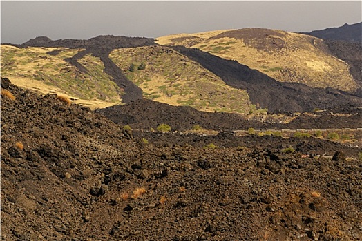 特写,火山岩,小,植被,脚,南,埃特纳火山,西西里