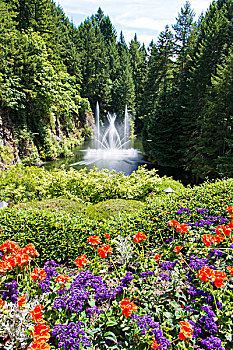 加拿大,不列颠哥伦比亚省,布查特花园,喷泉,花,展示,前景