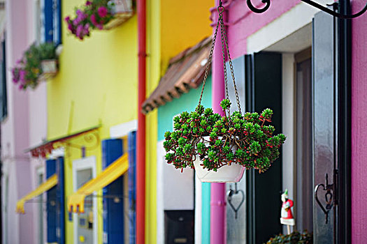 布拉诺岛,彩色,古建筑,威尼斯,意大利