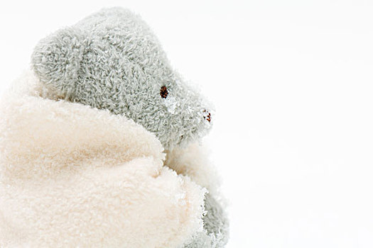 泰迪熊,包装,毯子,积雪