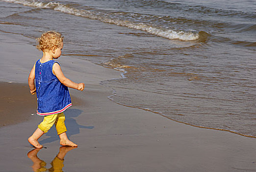 小女孩,海滩,走,海岸