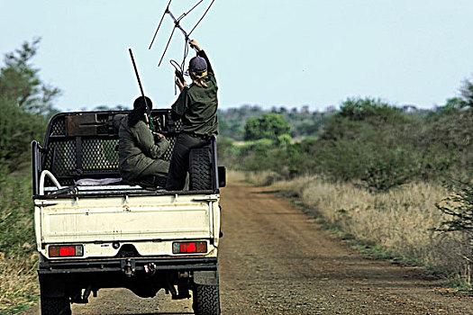 生物学家,轮子,驾驶,交通工具,追踪,动物,国家,公园,南非