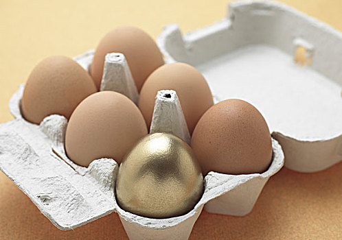 鸡肉,鸡,卵,蛋,鸡蛋盒,象征,金蛋,母鸡