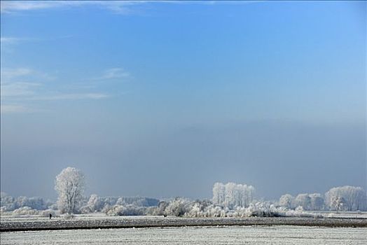 冬天,风景,白霜,蓝天