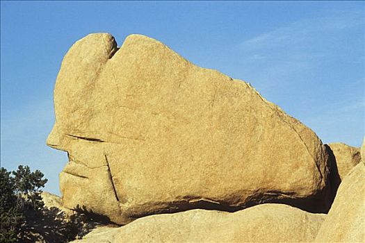 花冈岩,石头,隐藏,山谷,约书亚树国家公园,加利福尼亚,美国