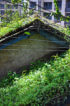 重庆江北徐悲鸿故居