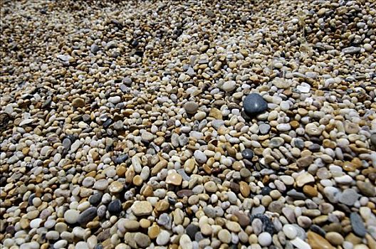 鹅卵石,海滩,沙,南德文郡,英格兰