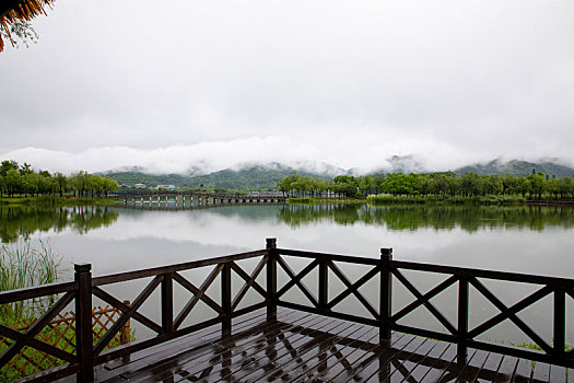 杭州湘湖初夏雨天清晨风光