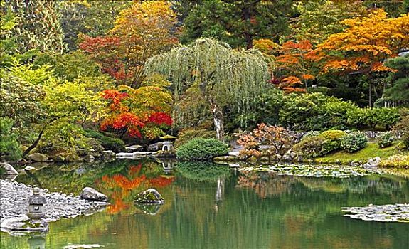 日式庭园,西雅图,华盛顿,美国