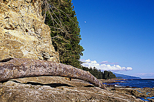 省立公园,温哥华岛,不列颠哥伦比亚省,加拿大