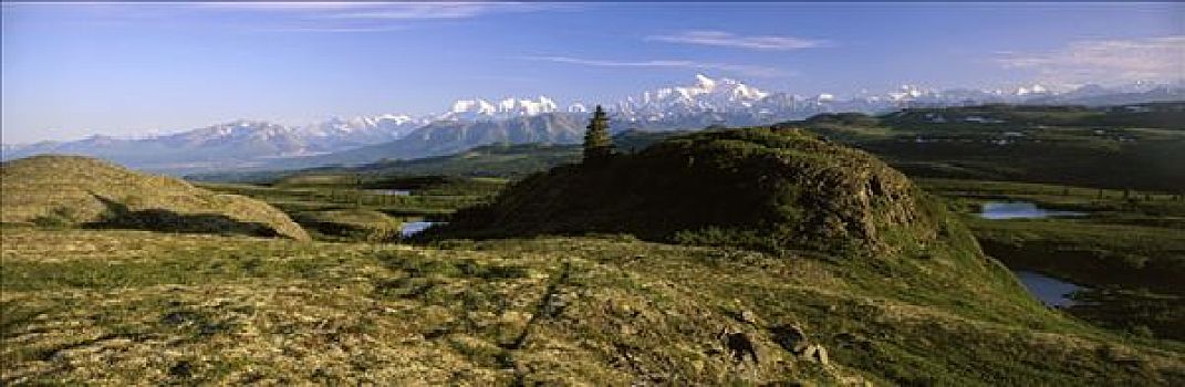 远足者,山脊,德纳里峰,麦金利山,背景,夏天