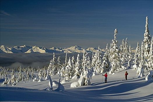 滑雪者,草地,靠近,冬天,景色