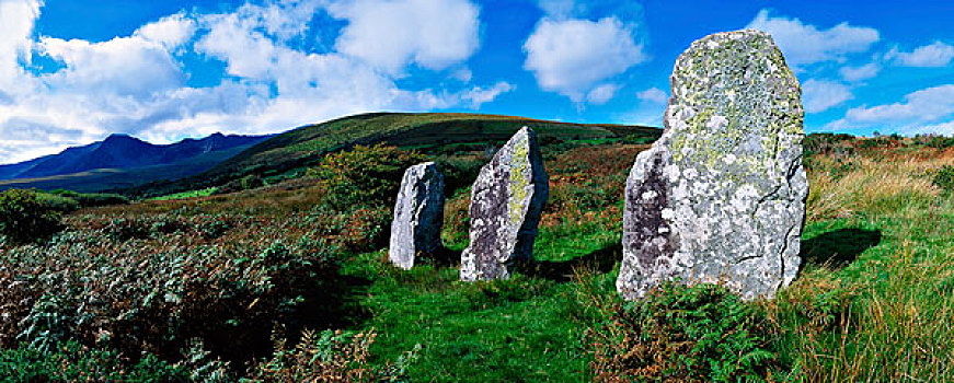 站立,石头,排列,靠近,丁格尔半岛,爱尔兰