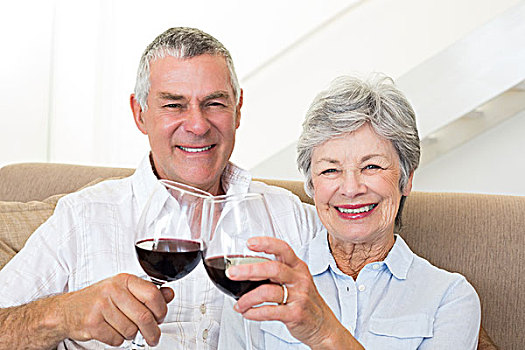 老年,夫妻,坐,沙发,红酒