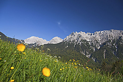 风景,山,米滕瓦尔德,巴伐利亚,德国