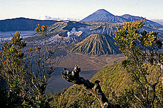 印度尼西亚,爪哇,婆罗摩火山