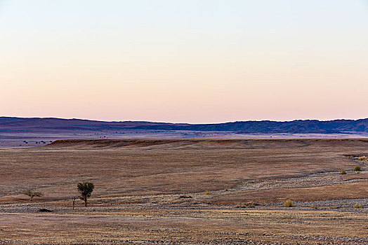 纳米比亚,大草原,沙丘,纳米布沙漠,背影,黃昏,纳米比诺克陆夫国家公园,非洲