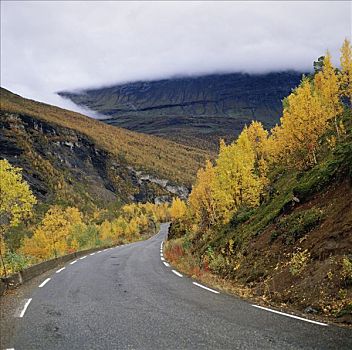 道路,山峦