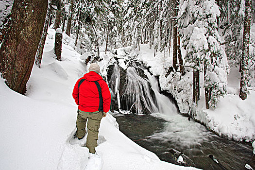 一个人,站立,雪中,看,之字形,瀑布,山,帽子,国家森林,俄勒冈,美国