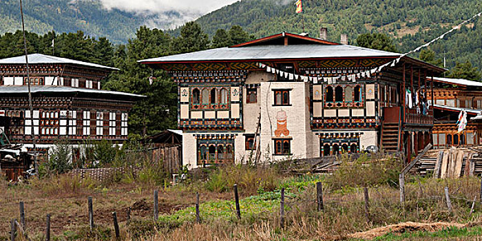 建筑,寺院,山谷,布姆唐,地区,不丹
