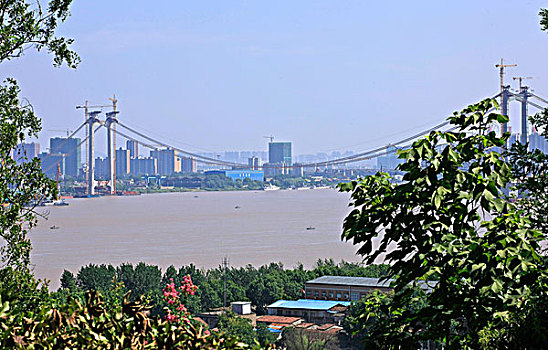 在建的武汉鹦鹉州长江大桥