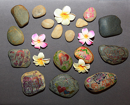 石头,花,花瓣