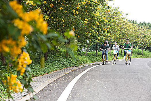 一群年轻大学生在校园里骑车