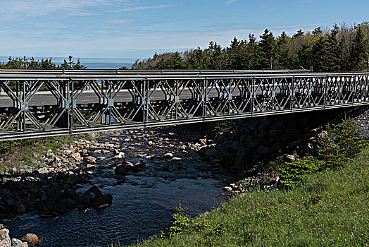 桥,河,树林,宜人湾,布雷顿角高地,国家公园,布雷顿角岛,新斯科舍省,加拿大